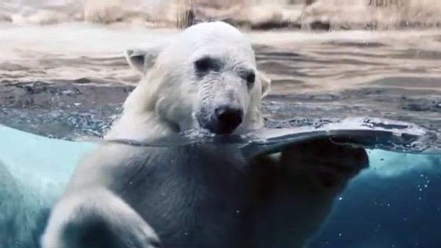 Самая красивая народная музыка 👍 смотреть онлайн