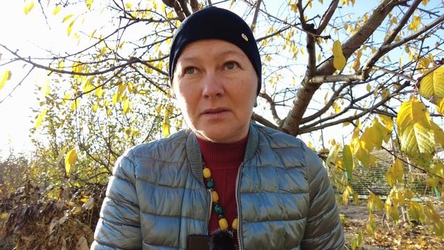 За что я люблю Индию. Лавана Сарасвати. смотреть онлайн