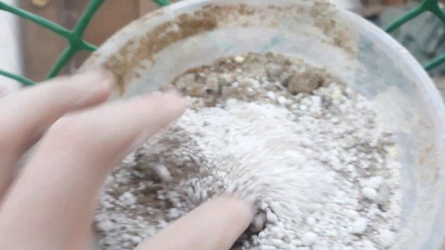 Минеральная подкормка голубям и птице смотреть онлайн