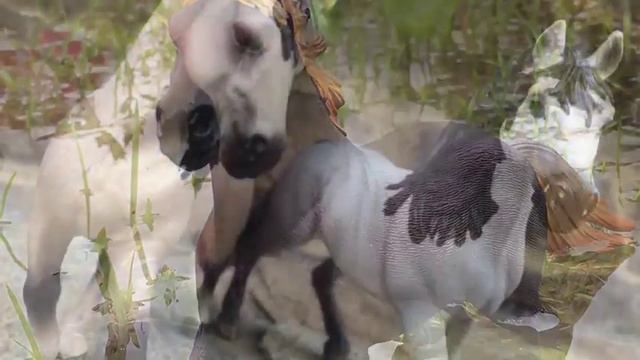 Фото Апрель 2018| Лошади шляйх| Не судите строго смотреть онлайн