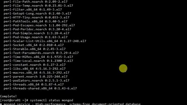 Install MongoDB 3.6 Enterprise Edition on Linux смотреть онлайн