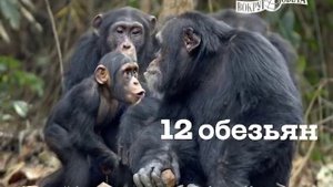 Журнал "Вокруг Света" №10/2012 Октябрь