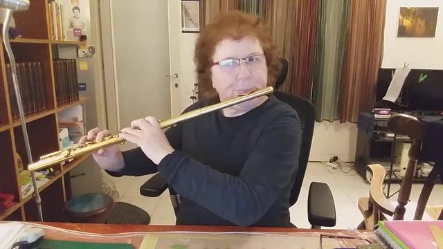 Flute and Harp Concerto k.299 Andantino by Mozart смотреть онлайн