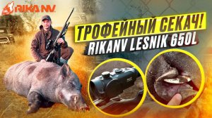 Трофейный кабана с подхода! Охота с тепловизором RikaNV Lesnik 650L в Беларуси!