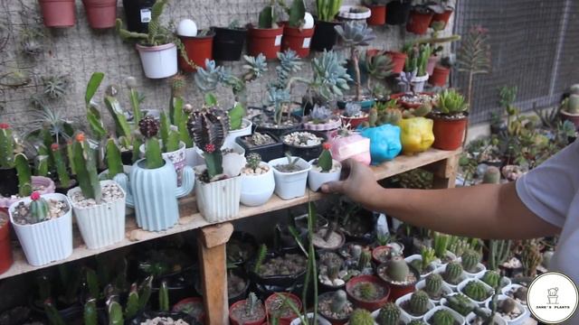 Mama ko kumikita dahil sa mga tanim niya. смотреть онлайн