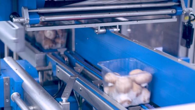 Трейсилер SEALPAC A5 DL для грибов Agarica, Нидерланды смотреть онлайн