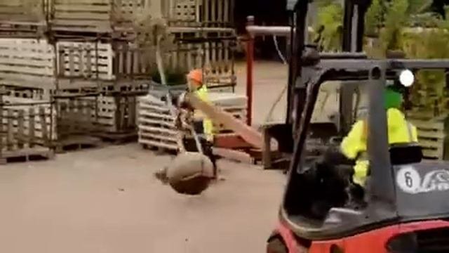 Садовый центр Еврофлора