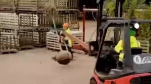 Садовый центр Еврофлора