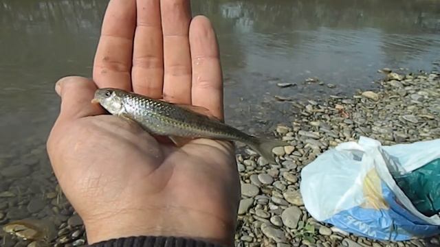 рыбалка на барсучках смотреть онлайн