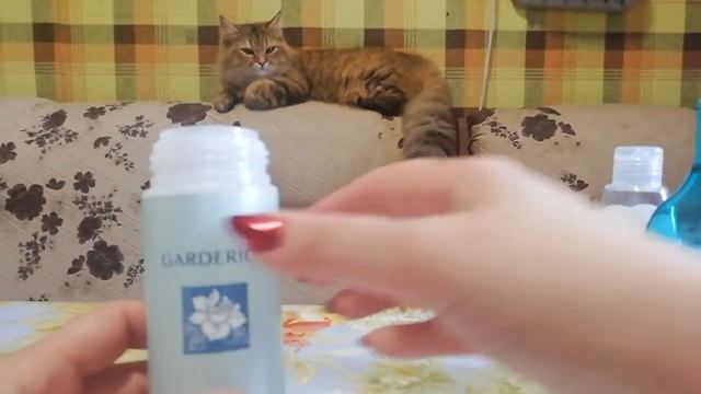 Видео по запросу. ДЕЛАЕМ ПЕНКУ ДЛЯ УМЫВАНИЯ. смотреть онлайн