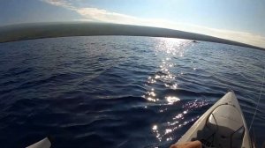 Hawaii Kayak Fishing | Sailfish or Striped Marlin? A Day of Big Strikes! | Hobie Revolution 13