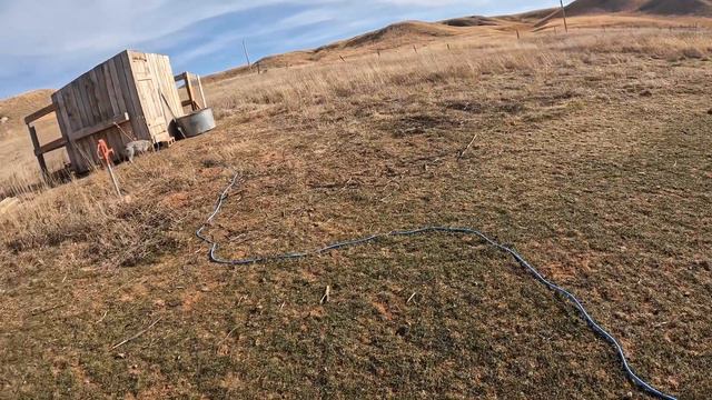 Abandoned Calf… смотреть онлайн