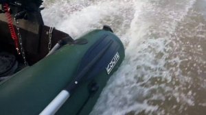 Тест нового мотора Mercury F5M.  Лодка Pelican 295тк.