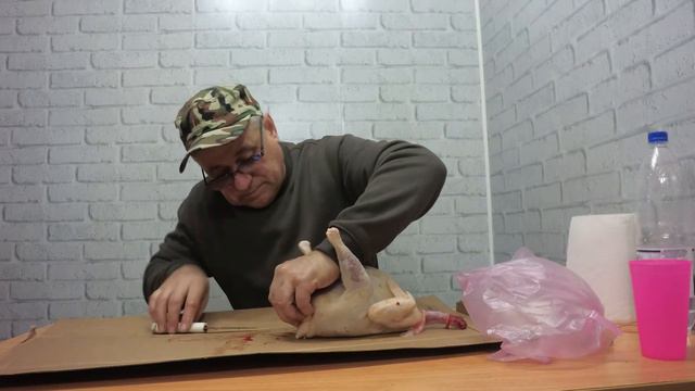 Потрошение курицы, как выпотрошить домашнюю курицу