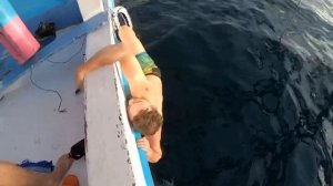 АКУЛА НА БАЛИ АТАКОВАЛА ЧЕЛОВЕКА ЗА БОРТОМ! МНОГО МАТА!