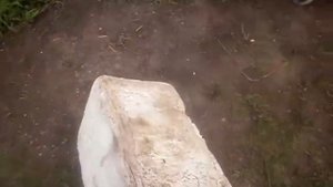 Рыбалка на Михайловском пруду / Самарской области / Платник.