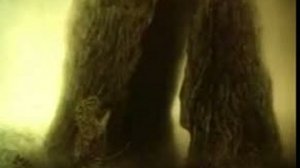 Ежик в тумане