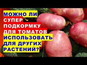 Можно ли супер подкормку для помидоров использовать для других растений огорода и сада?