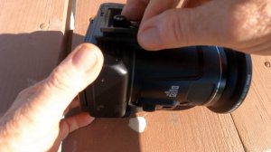 Nikon P950 in the Field