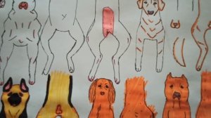 Бумажные собаки ( в процессе)