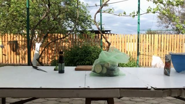 Овощи на мангале