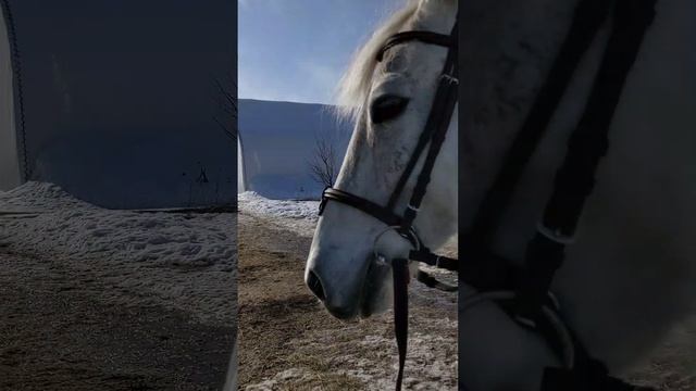 С кем сегодня и кто навстречу?
