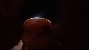 Овоскопирование перепелиных яиц 8 и 10 день. Селадоны, Фениксы.