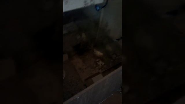 Термо клей самое лючшие применение .?