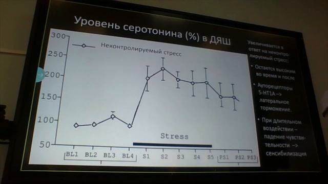 Нейробиология.  Лекция 26 (фрагмент).  Выученная беспомощность и память