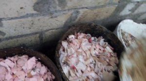Мраморный сом в домашних условиях.Улучшения и доработки.