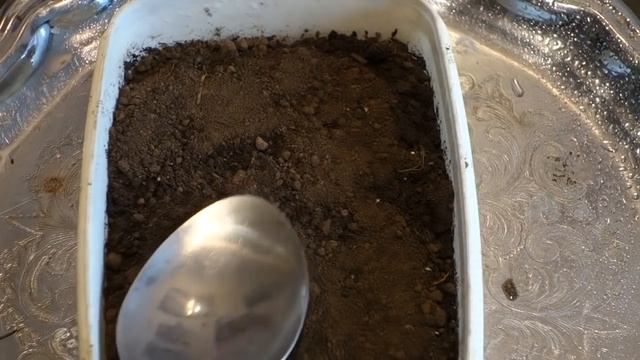 300.СЕЕМ БАРХАТЦЫ И АСТРЫ ЗА 5минут 2019 смотреть онлайн