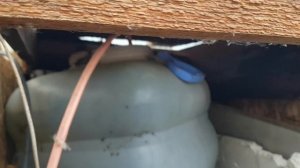 У кроликов замерзла вода что делать. кролики крольчата