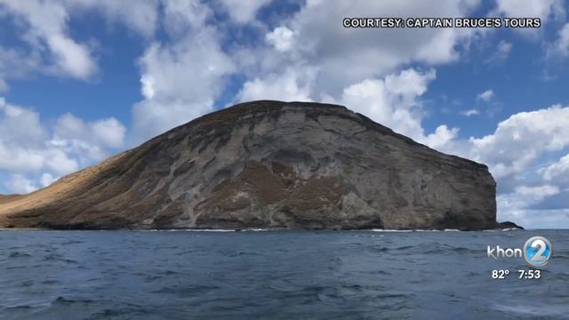 History behind "Rabbit Island" смотреть онлайн