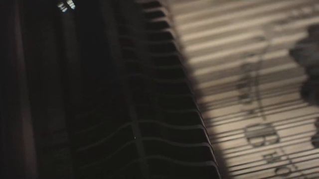 Brodmann PE 162 Grand Piano смотреть онлайн