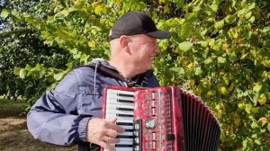 Аккордеонист Николай Засидкевич - Листья жёлтые