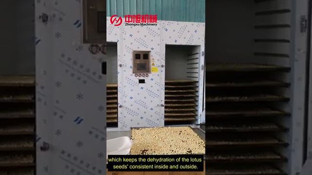 lotus seeds drying room  Zhongxu machinery heat pump dryer