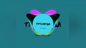 каникулы фонк ремикс