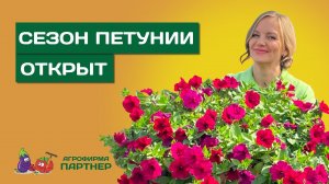 ЭТО ВАЖНО ЗНАТЬ! НЮАНСЫ ПРИ ПОСЕВЕ ПЕТУНИИ