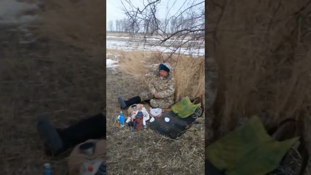 Кокпар