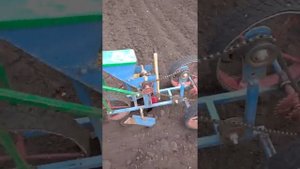 Посадка свеклы самодельной сеялкой "Помощница-1"