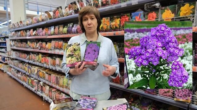 Выбираем многолетние луковичные растения для украшения  сада.