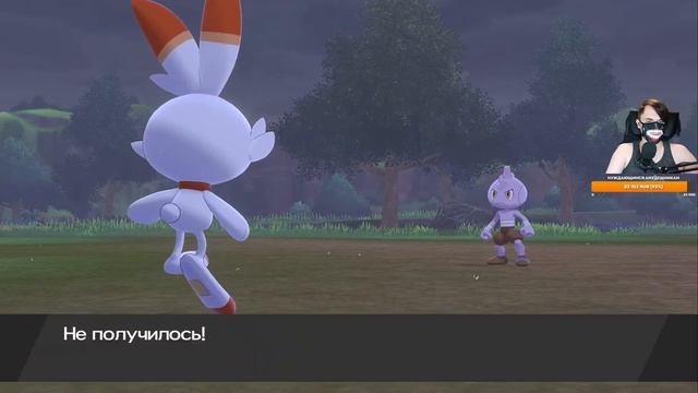 SirVikman стрим . Играю в Pokemon Sword and Shield , обсуждаем ПК железо AMD Nvidia Intel