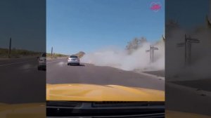 Красиво прыгнул?