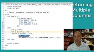 Getting Started with PL/SQL Table Functions 2. Returning Multiple Columns