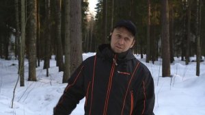 ВОСТОЧНО-ЕВРОПЕЙСКАЯ ОВЧАРКА - СЛИШКОМ СКУЧНАЯ ПОРОДА?!