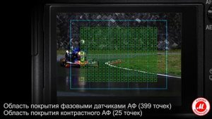 Системный премиум-фотоаппарат Sony Alpha A7R II