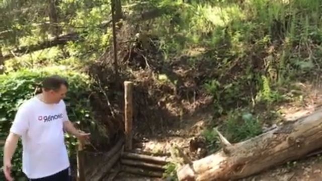 Посадили лес, очистим и обустроим родник. смотреть онлайн