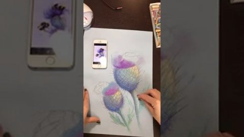 МК Шмели. Пастель