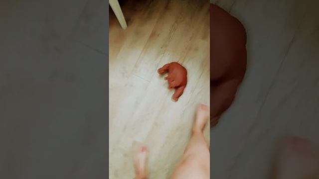 сори меня не было 18ддней телефон сломался смотреть онлайн