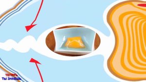 ЗАМЕЧАЛИ Ли ВЫ Белую СЛИЗЬ Внутри СЫРОГО Яйца ?! ТАК Вот ЧТО Это ТАКОЕ…